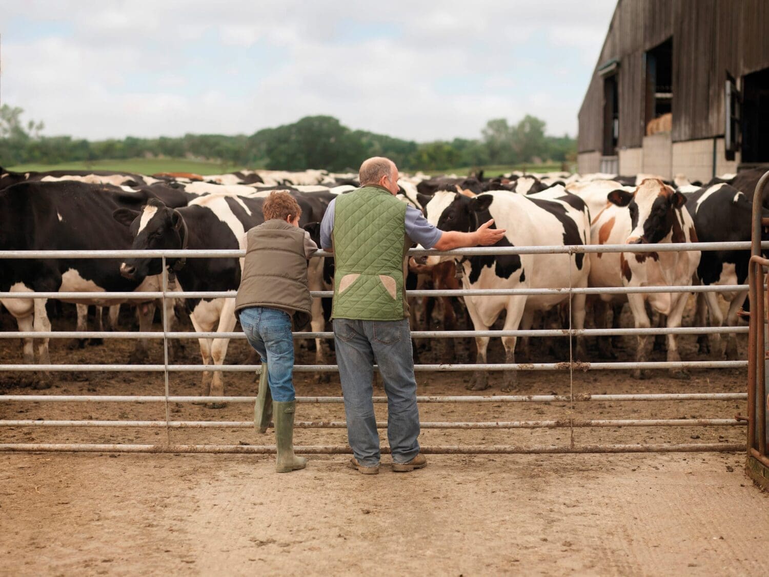 Secondary header image