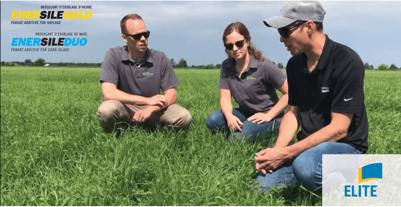 Options dépannages! Nos constats de la saison 2019 image