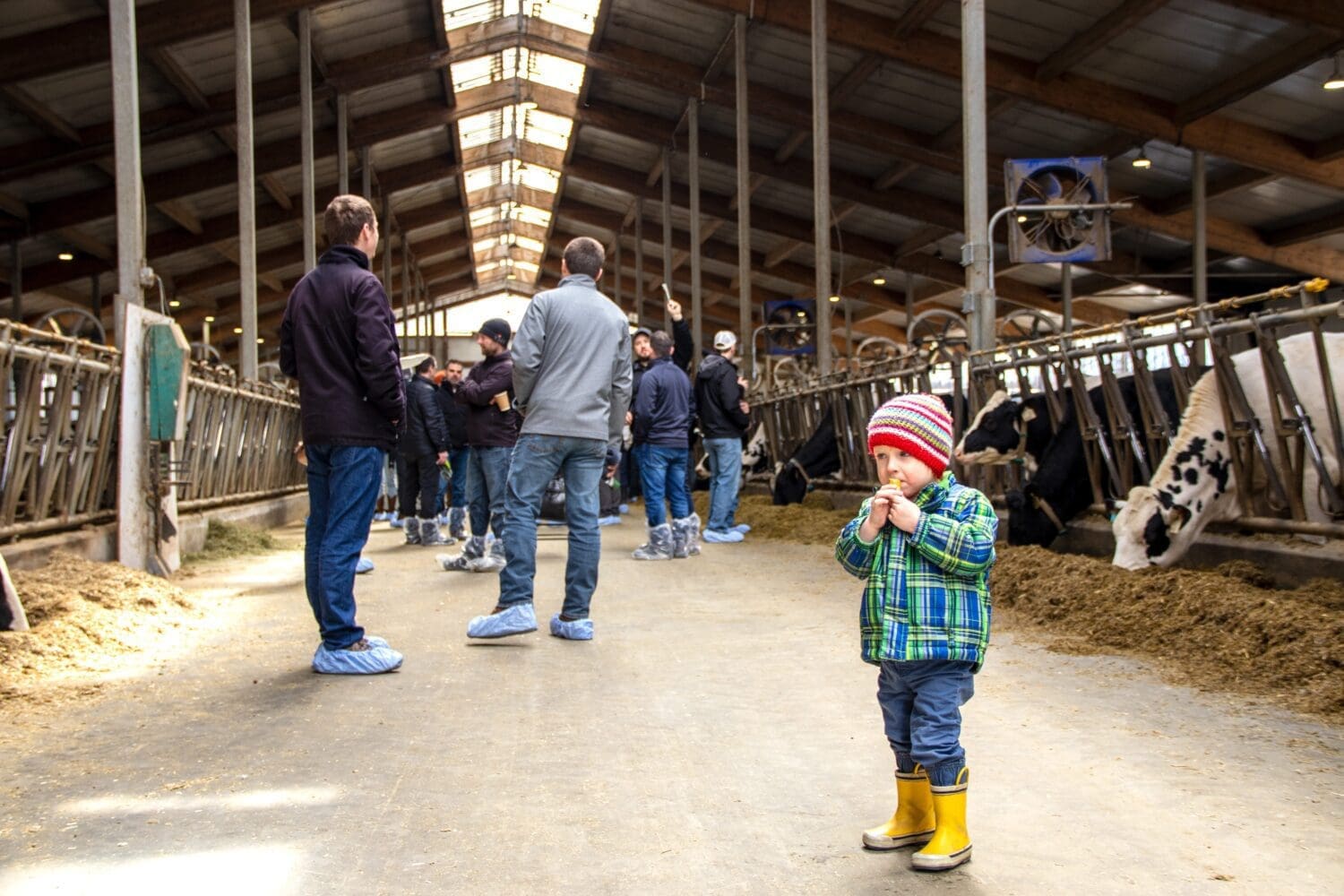 Secondary header image