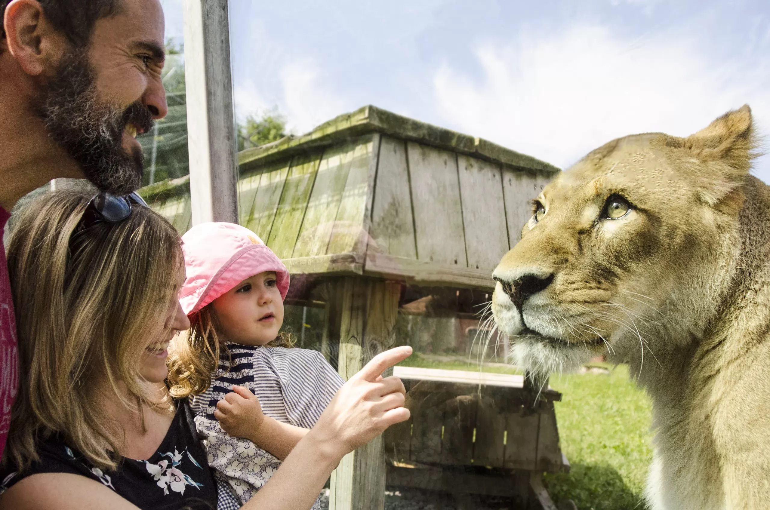 Journée familiale au Parc Safari image