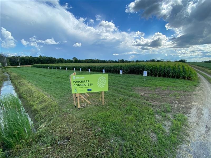 Field Day | Ferme Brault et Frères image