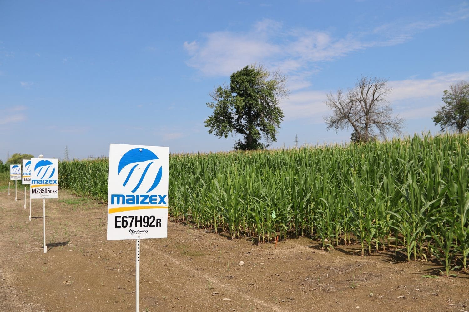 Secondary header image