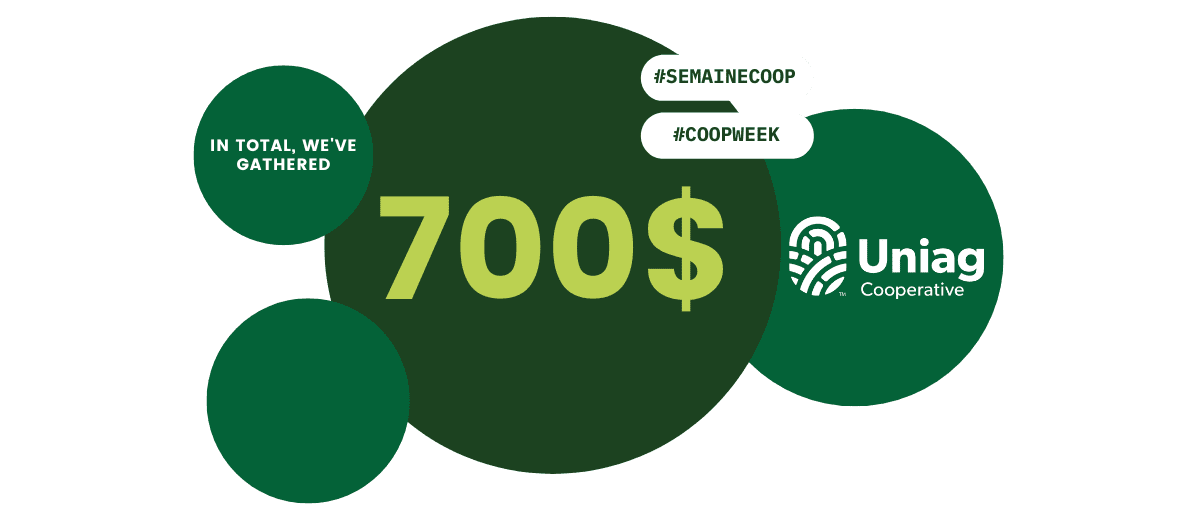 Secondary header image