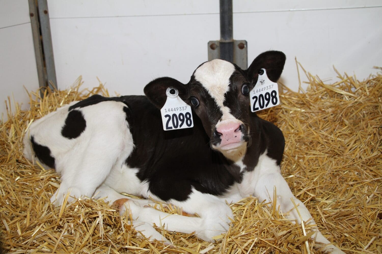 Secondary header image