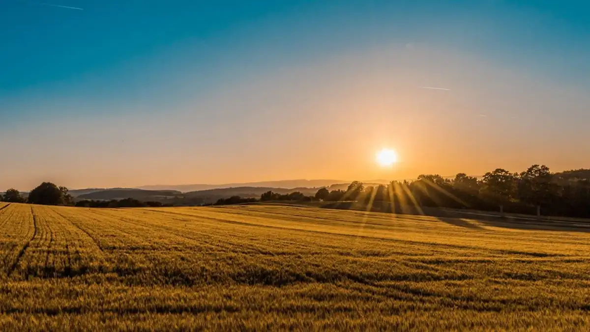 Field Crops