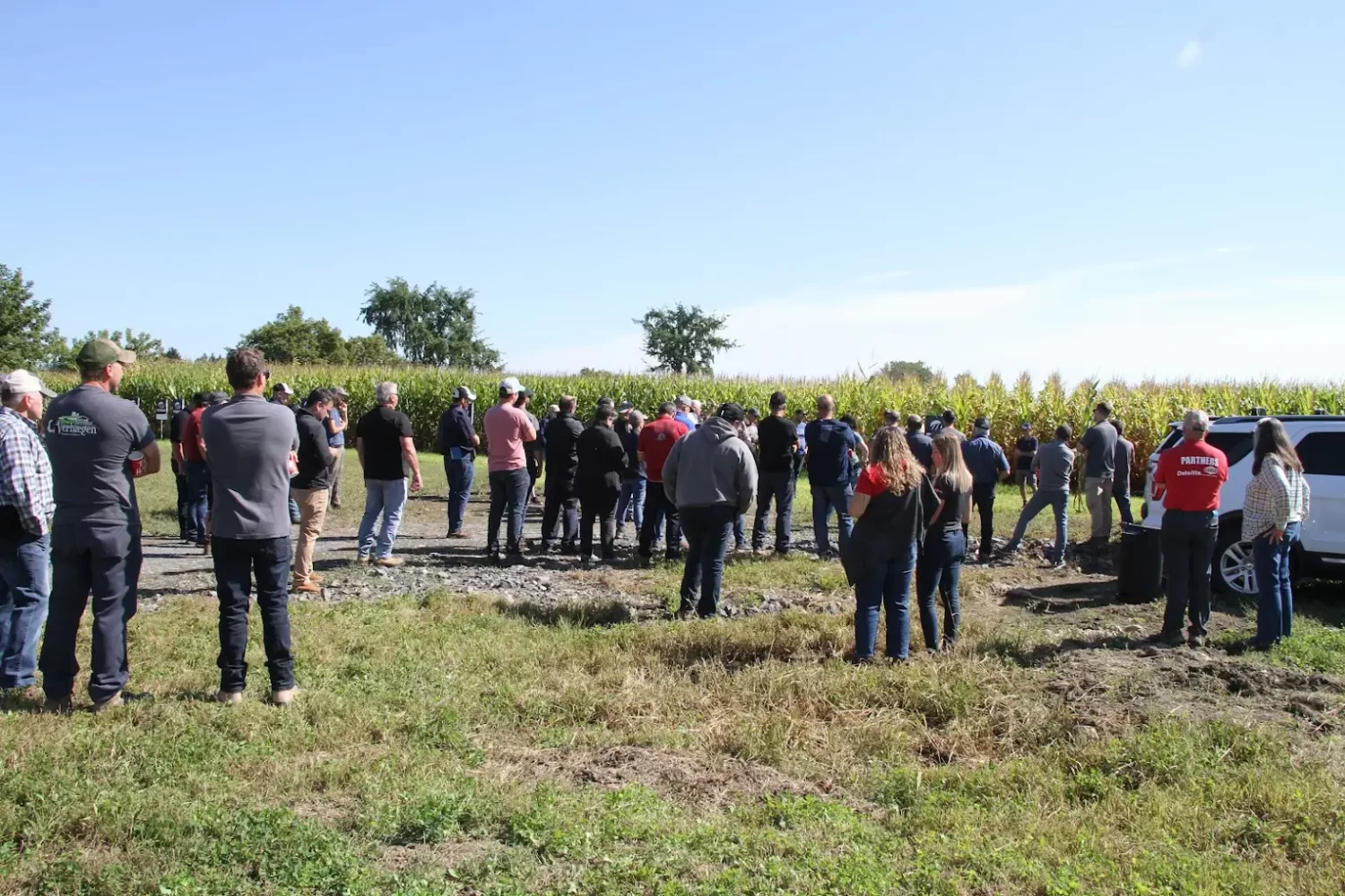 Secondary header image