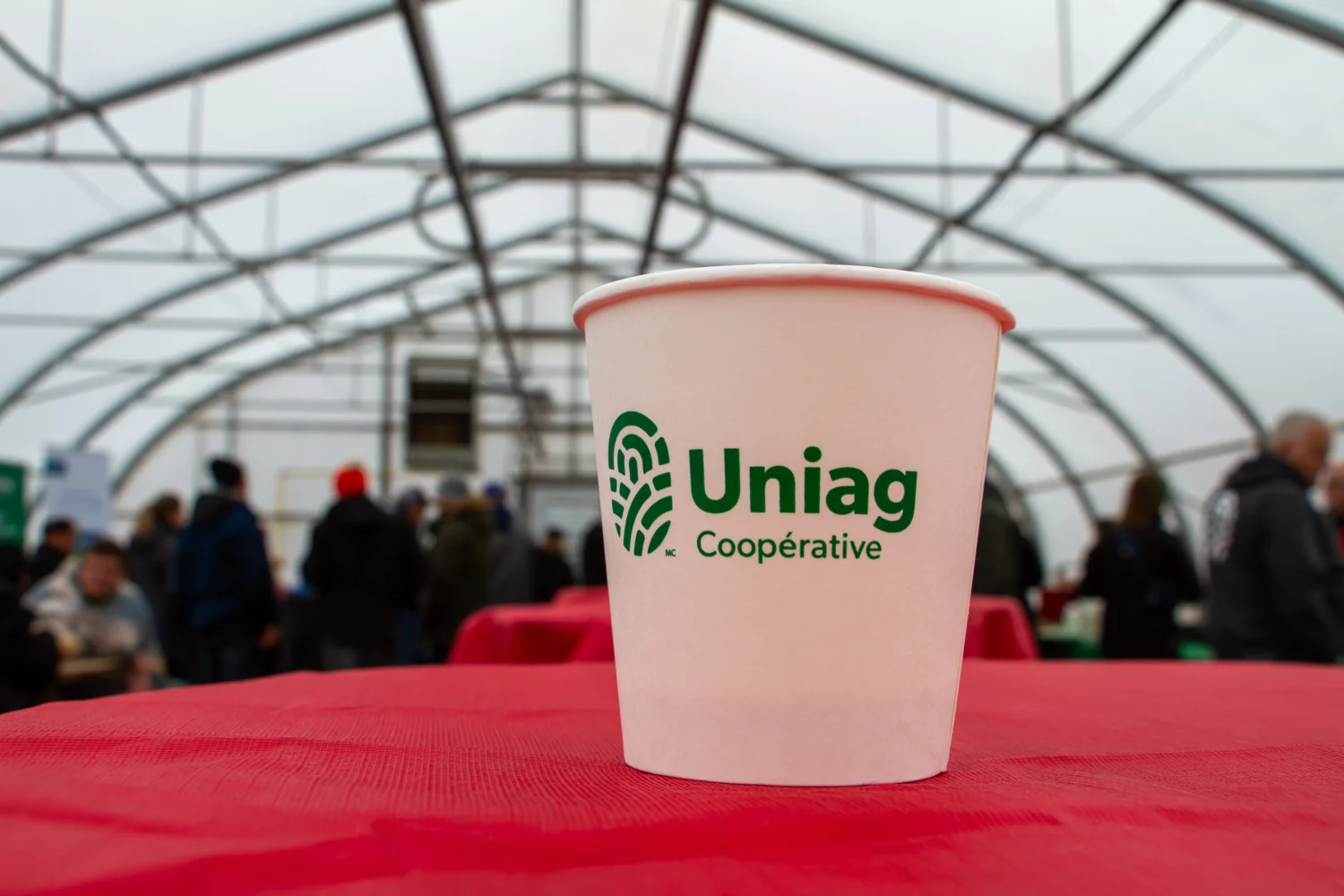 Secondary header image