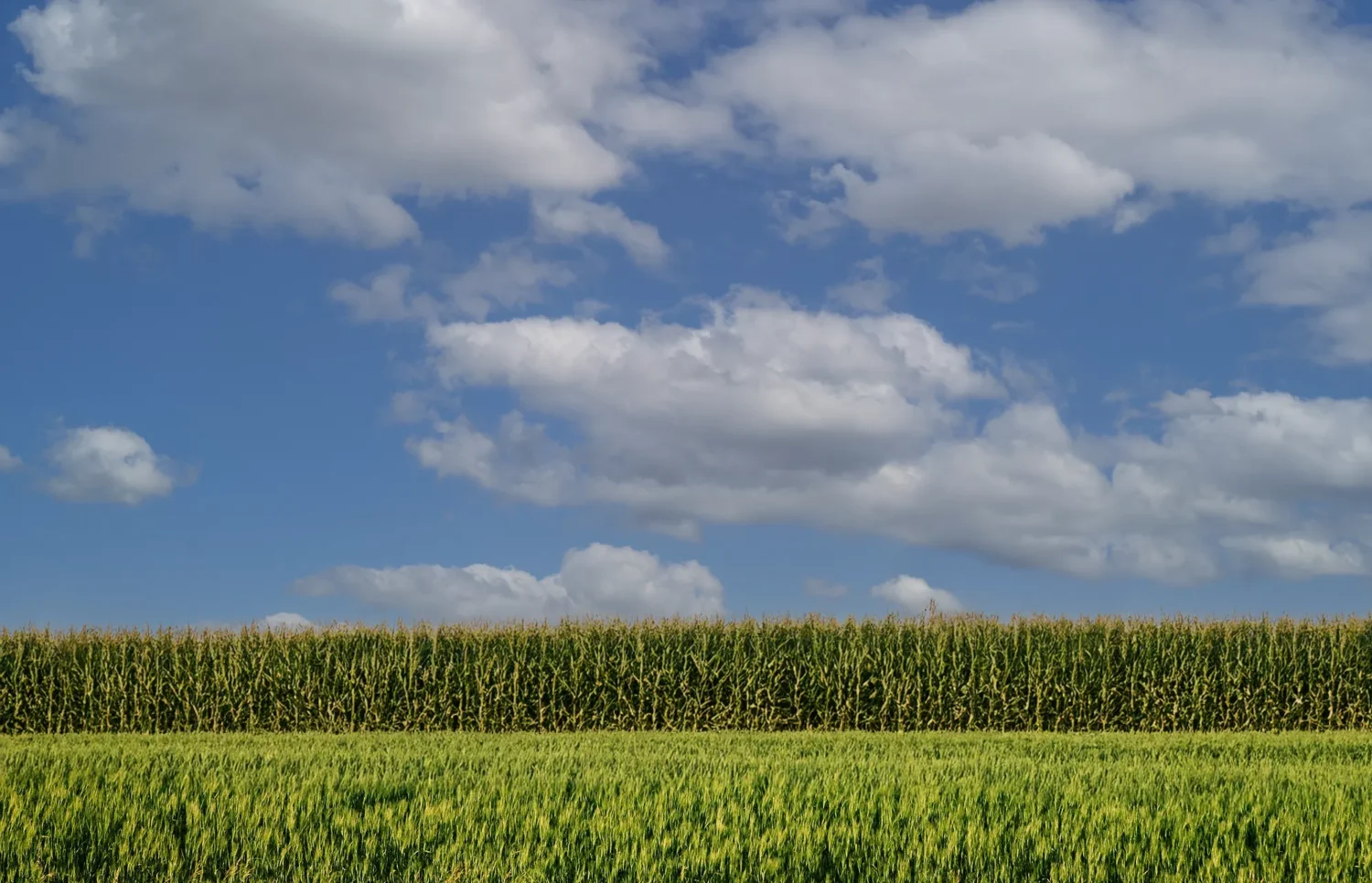 Secondary header image