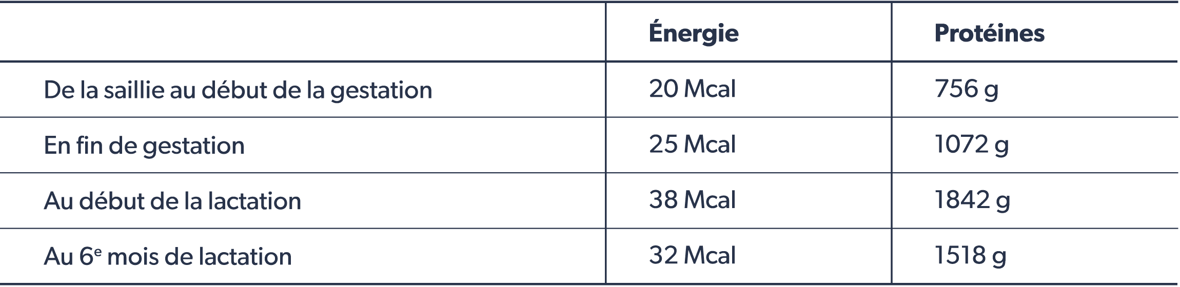 La jument devrait maintenir une cote de chair d'environ 6 sur 9. Si une perte de poids survient, la ration doit être ajustée pour combler la demande en énergie.