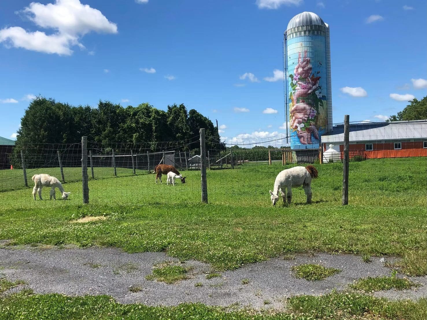 Field of Expertise by Uniag | Ontario image