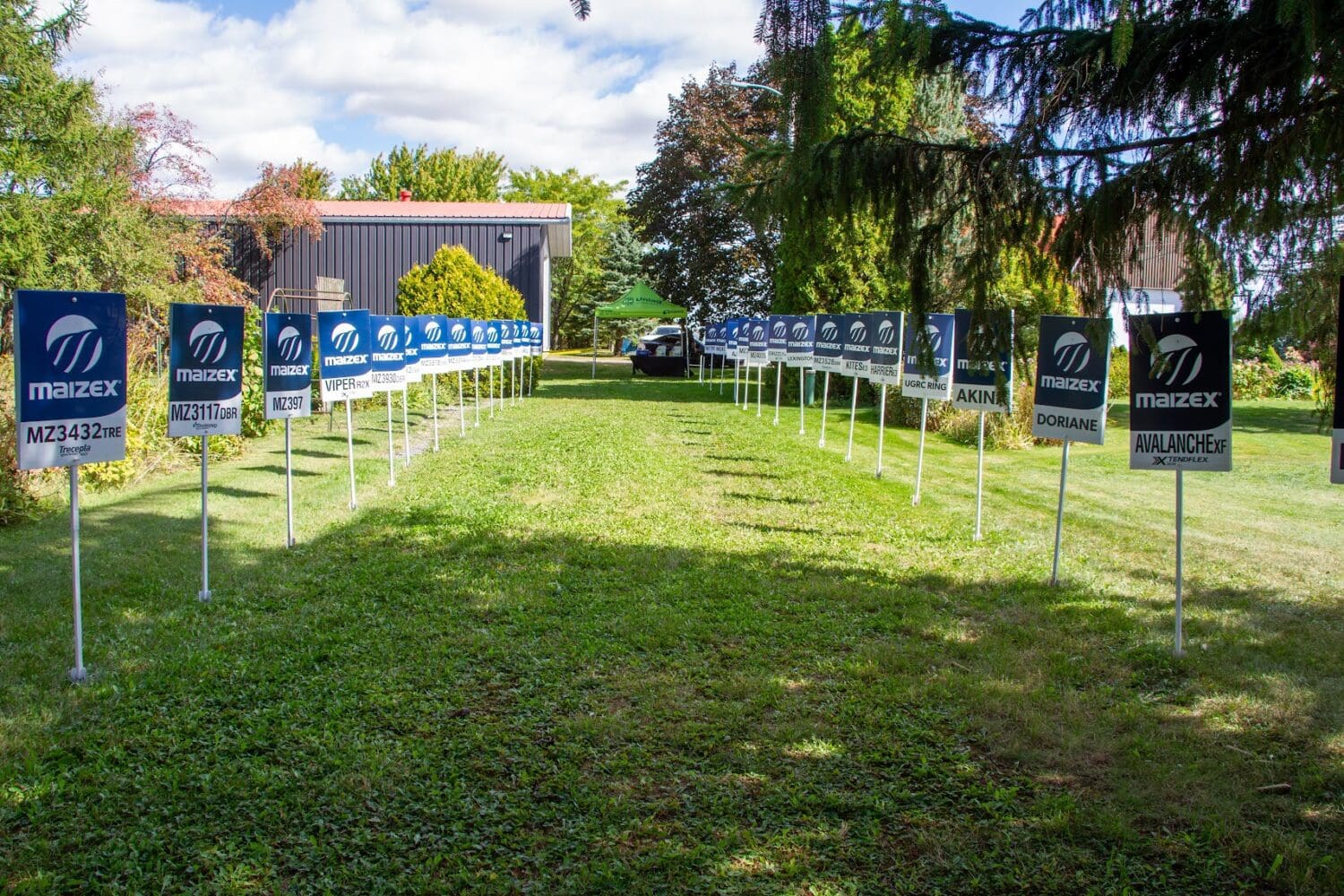 Secondary header image