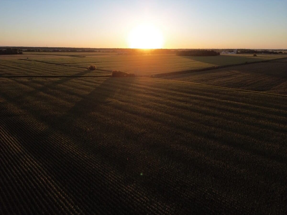  alt="Journée Champ d’expertise 2025 à Saint-Cyprien-de-Napierville"