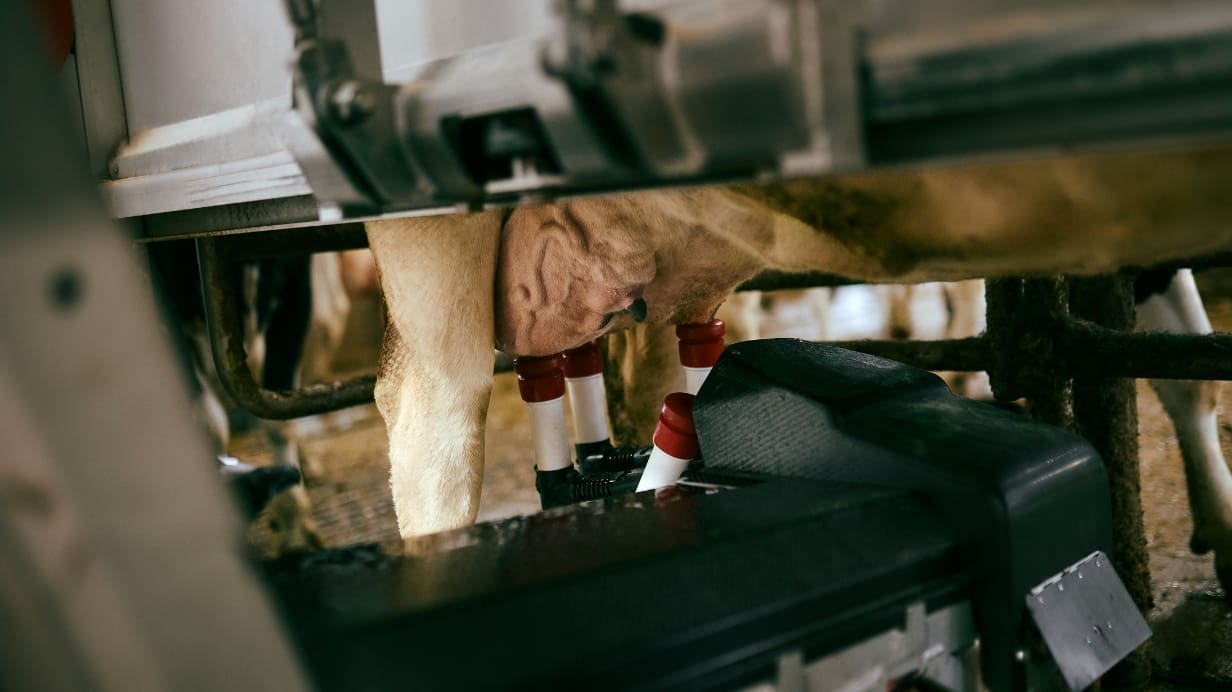 Secondary header image