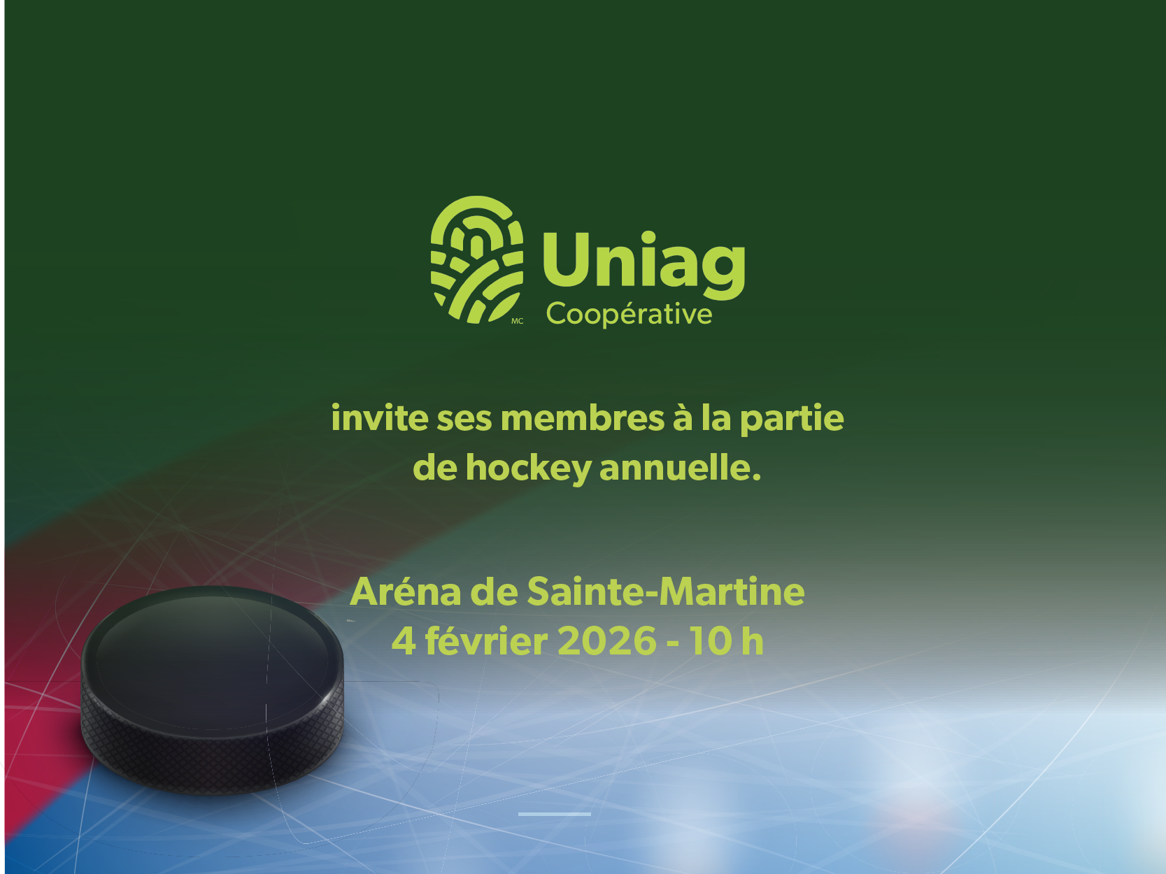 Partie de hockey – Sainte-Martine, QC image