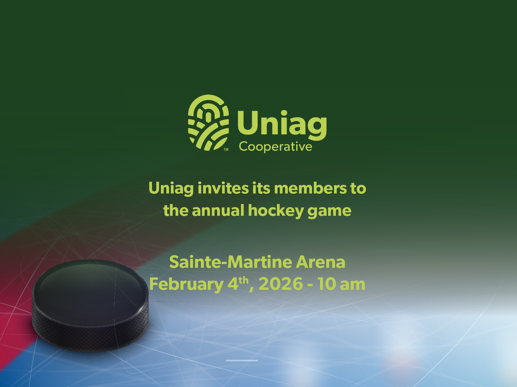 Hockey game – Sainte-Martine, QC image